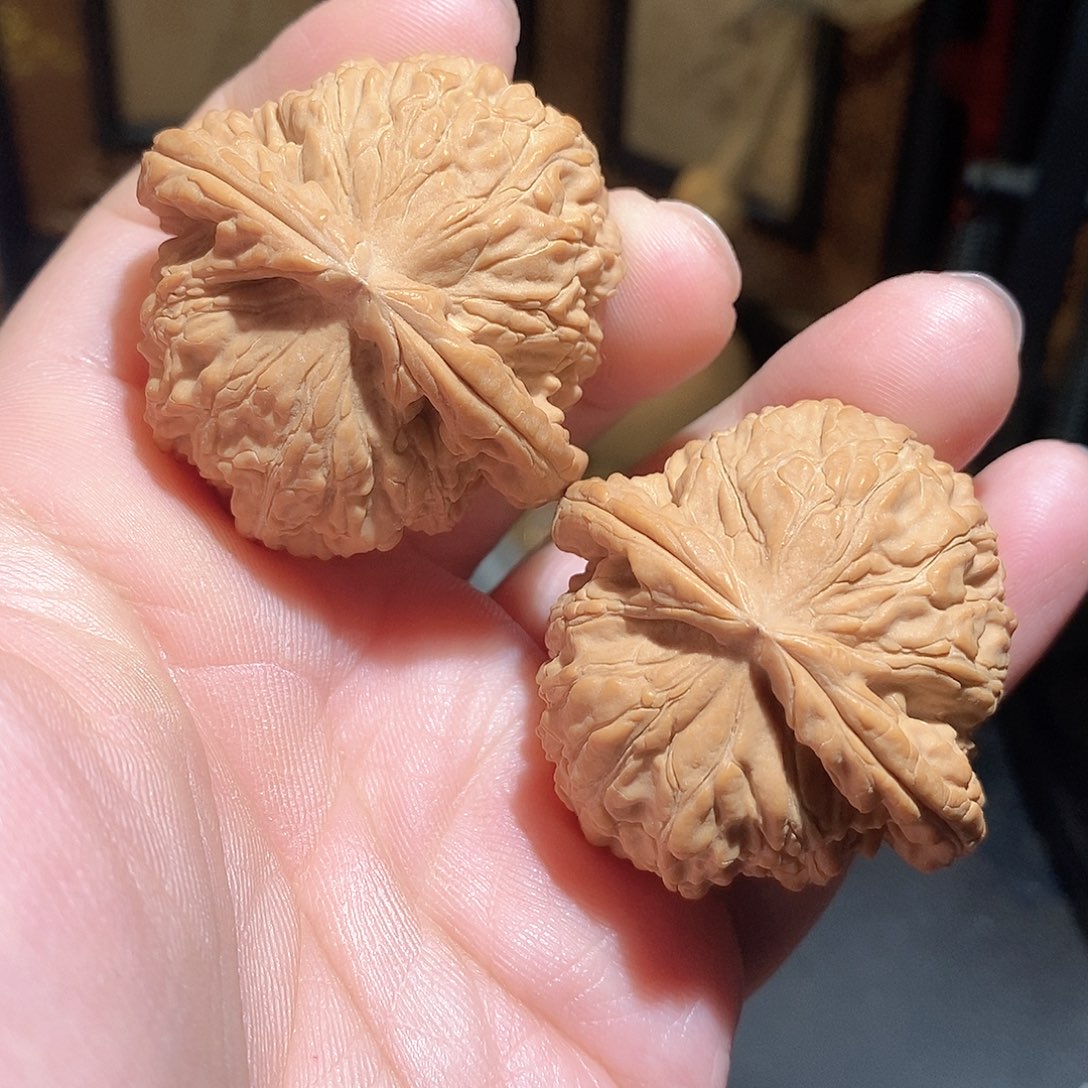 文玩核桃把件44白狮子全品