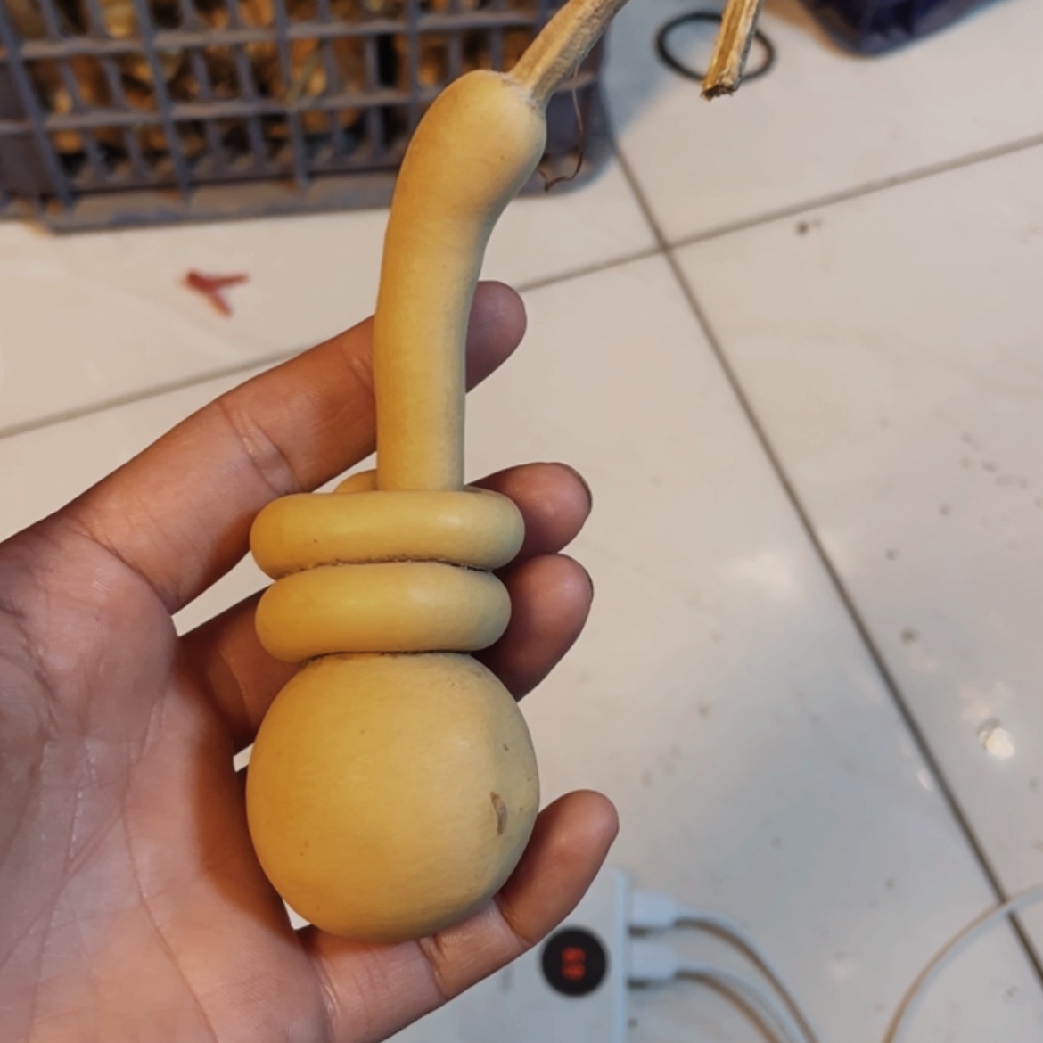 【闪购商品】木养****锅葫芦