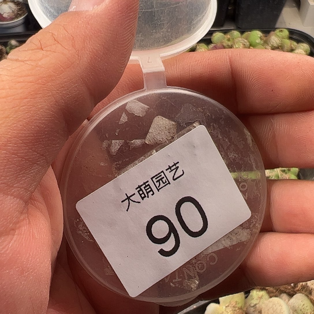 一***三一物一拍。     90