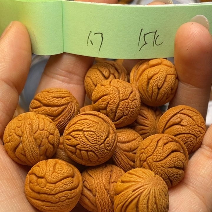 吊坠桃核秦岭龙纹桃核17尺寸