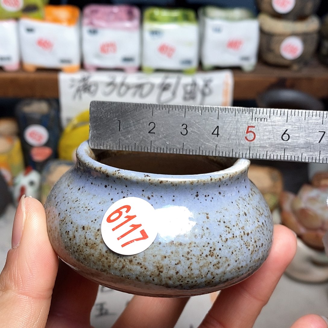 红陶拍5送一个小