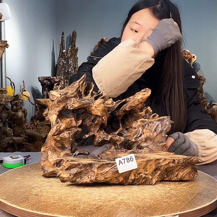 茶盏举***忘786株木的随行的根艺