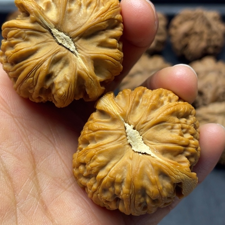吊坠文玩核桃突突突突突突突突突