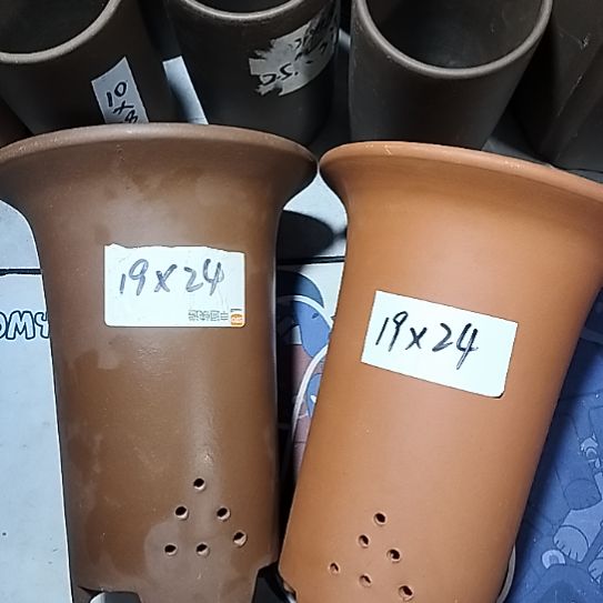 紫砂大红大紫兰花两个