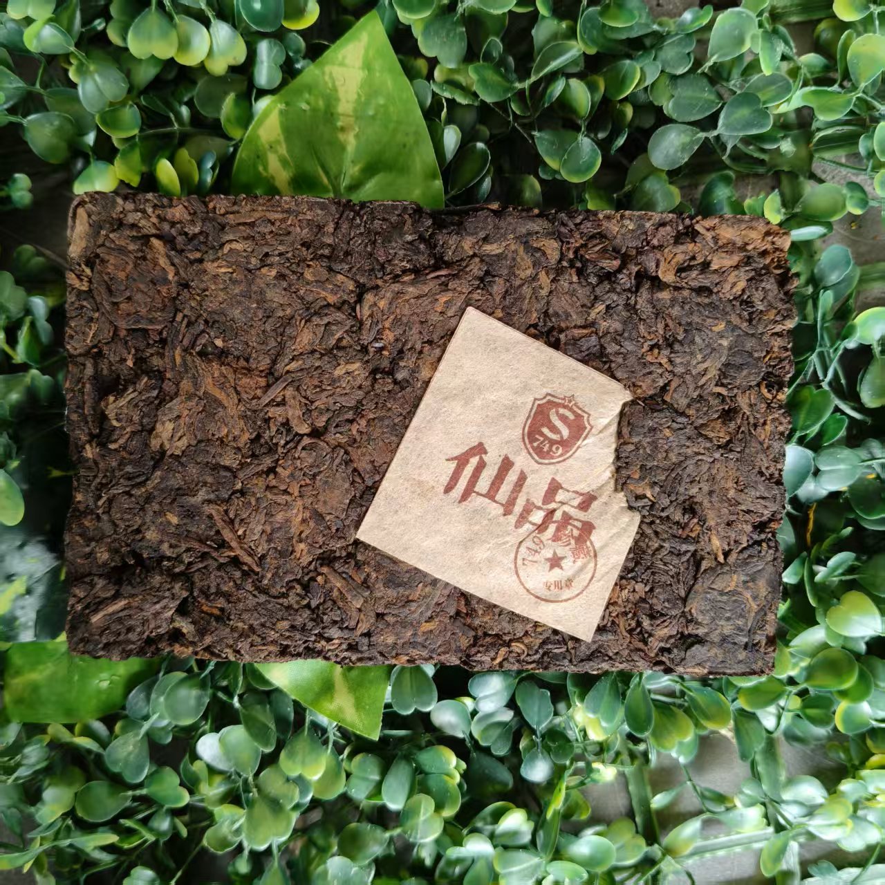 雨腾妹夫 “天C”菩提首B浆250g/砖 (6月15）