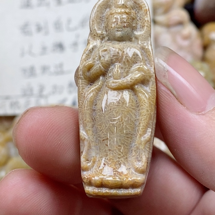颈饰未镶嵌硅化珊瑚（珊瑚玉）