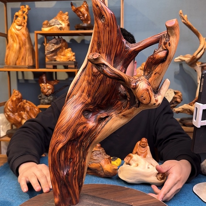 柏木（崖柏）关注一下