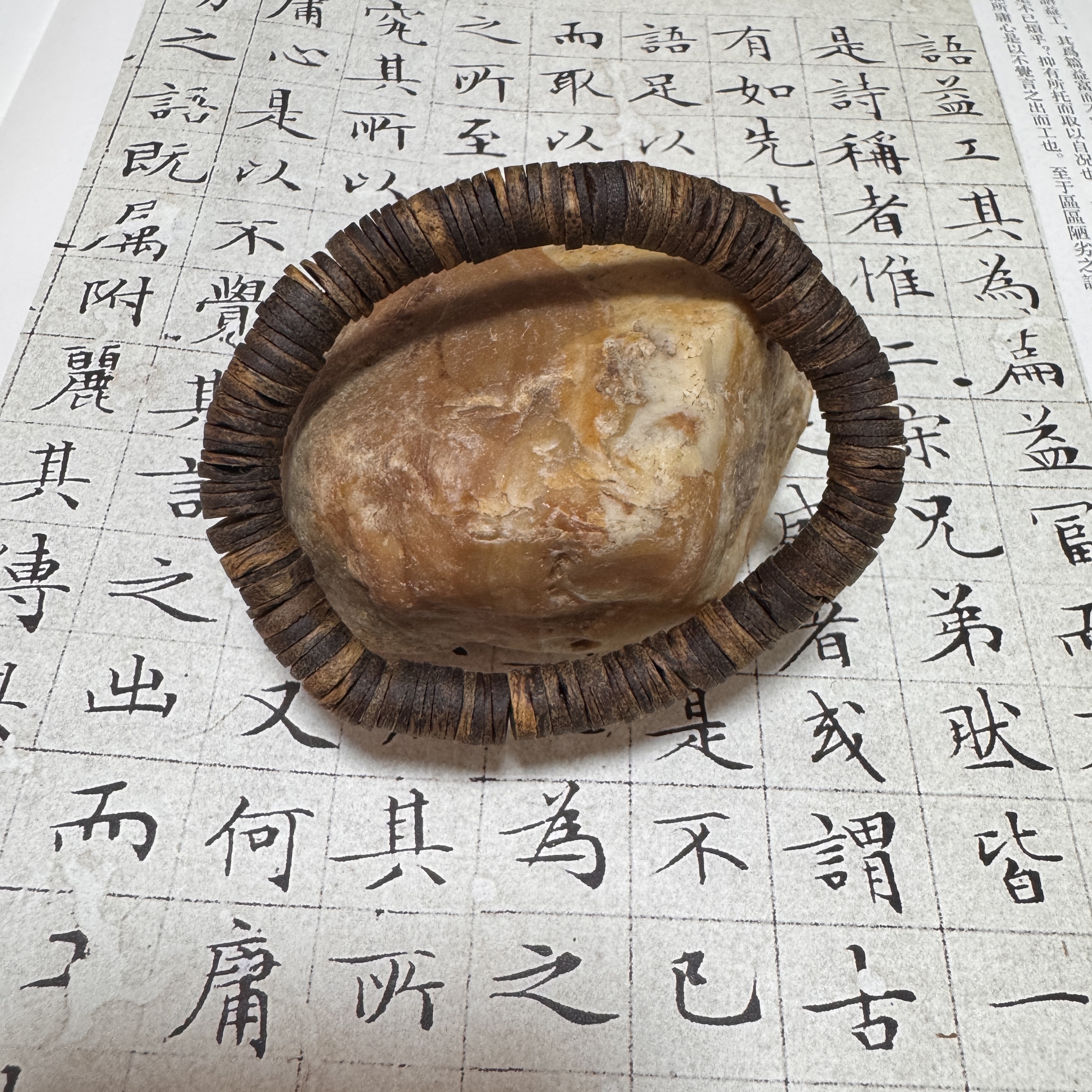 z-709【星洲系印尼达拉干】单圈8mm、8.2g