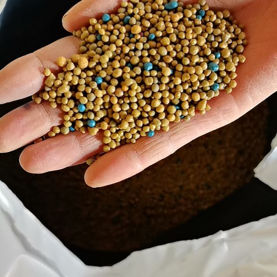 正宗奥绿肥318S的2斤