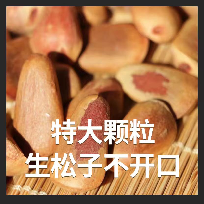 2025年新货特大颗粒新鲜东北红松子生松子原味松子不开口