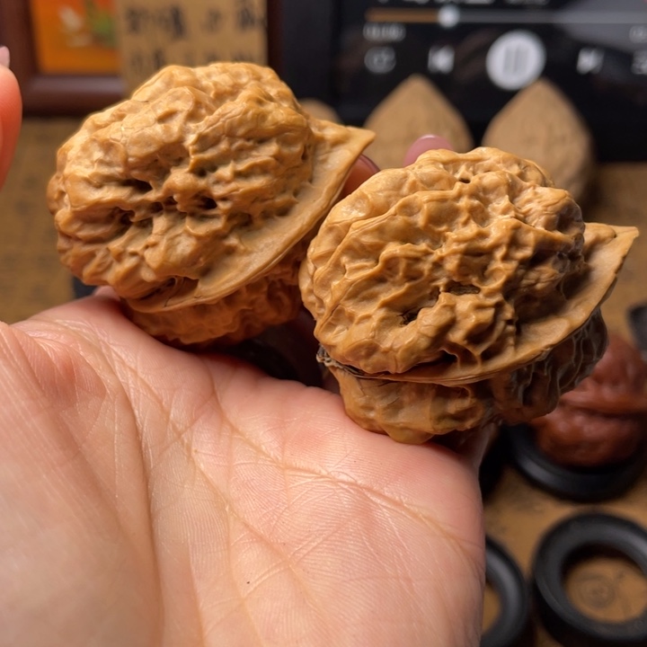 天***乐如图所示一物一拍60