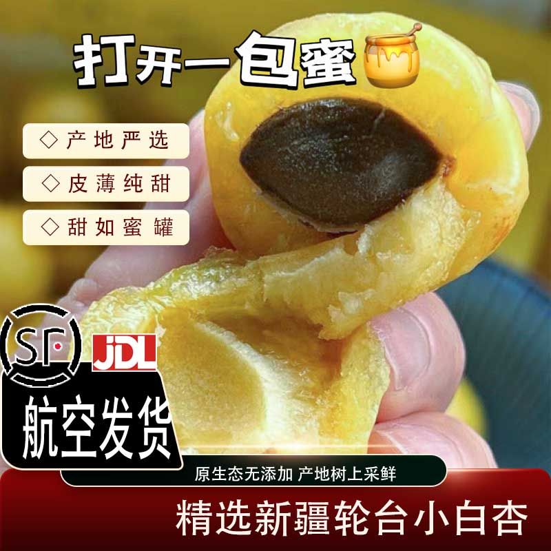 新疆产地直发轮台小白杏大果