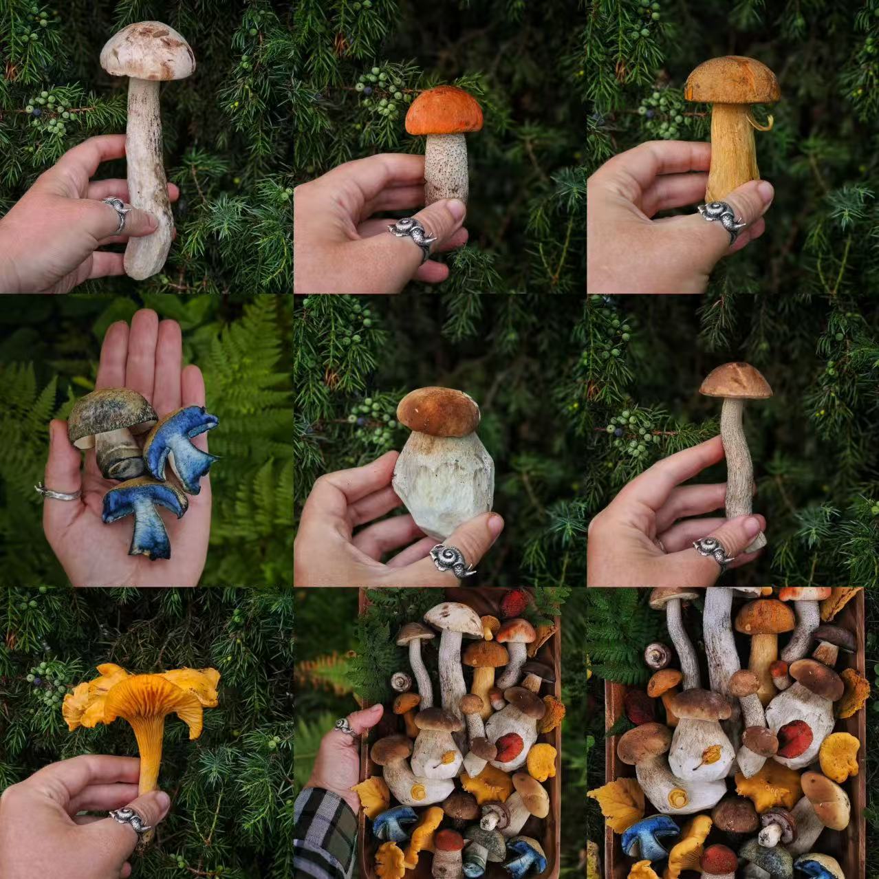 2【S-X】净含量1g-15g【小小现收】