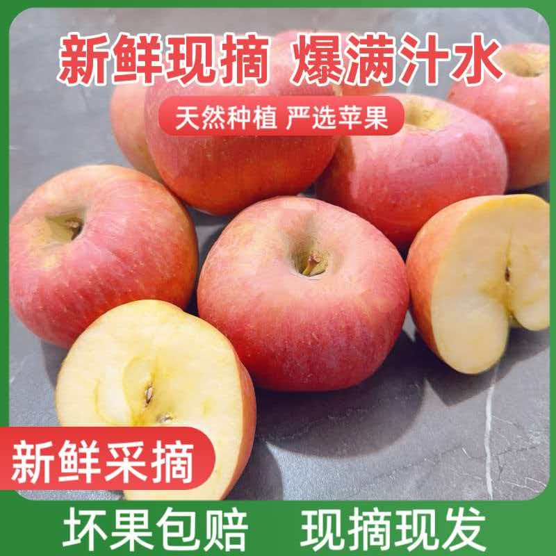 陕西红富士苹果新鲜脆甜多汁水果