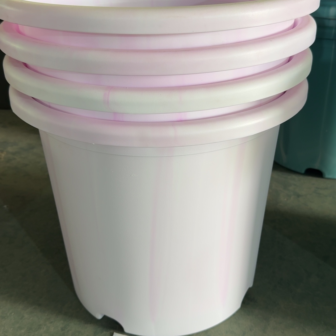 编号是541的编号是541   4个