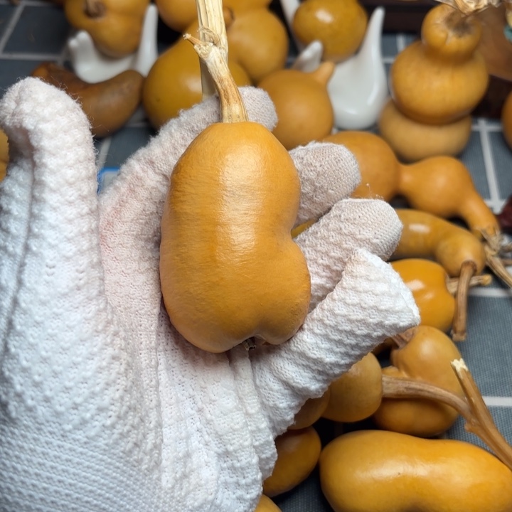 青***悔葫芦霉风裂6666666666