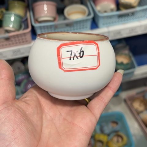 ［所有订单凑满15明天发］7×6