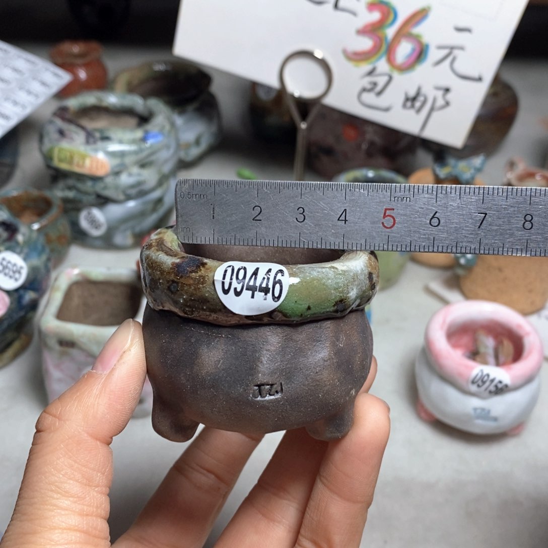 花盆双十二活动不退不换的原28元一个