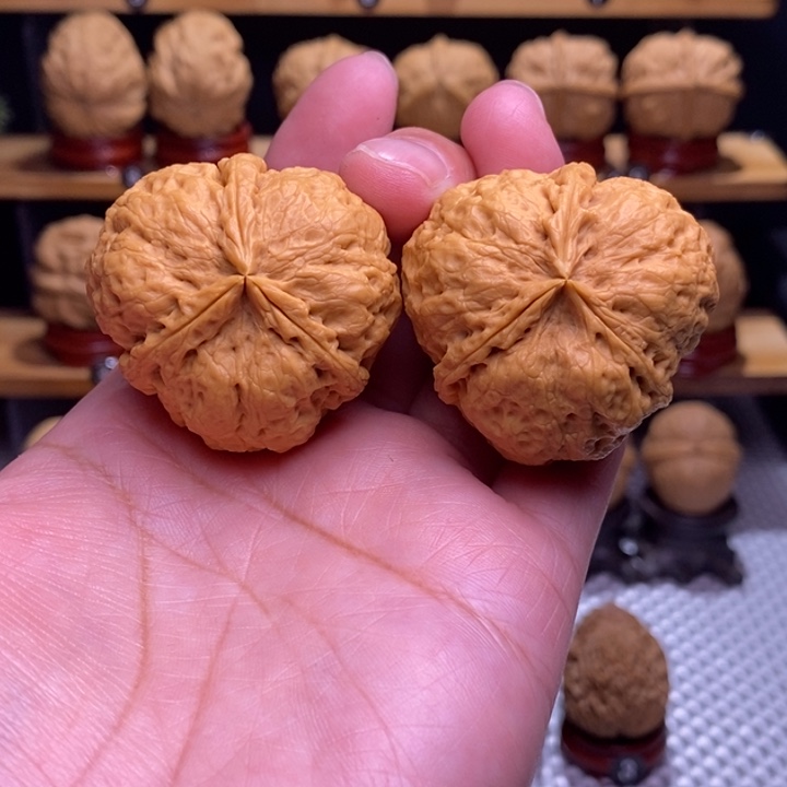 木质类云铁凹江龙75h号