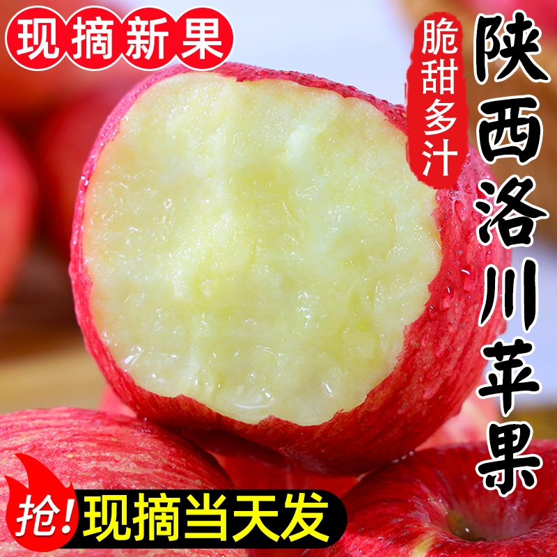 【京东快递LY】头茬果带箱9-10斤正宗洛川苹果陕西红富士苹果新鲜摘