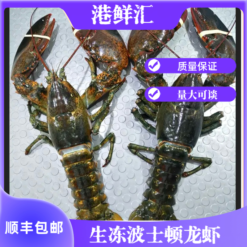 冷冻波士顿龙虾饱满可蒜蓉清蒸肉质紧实冷链空运包邮