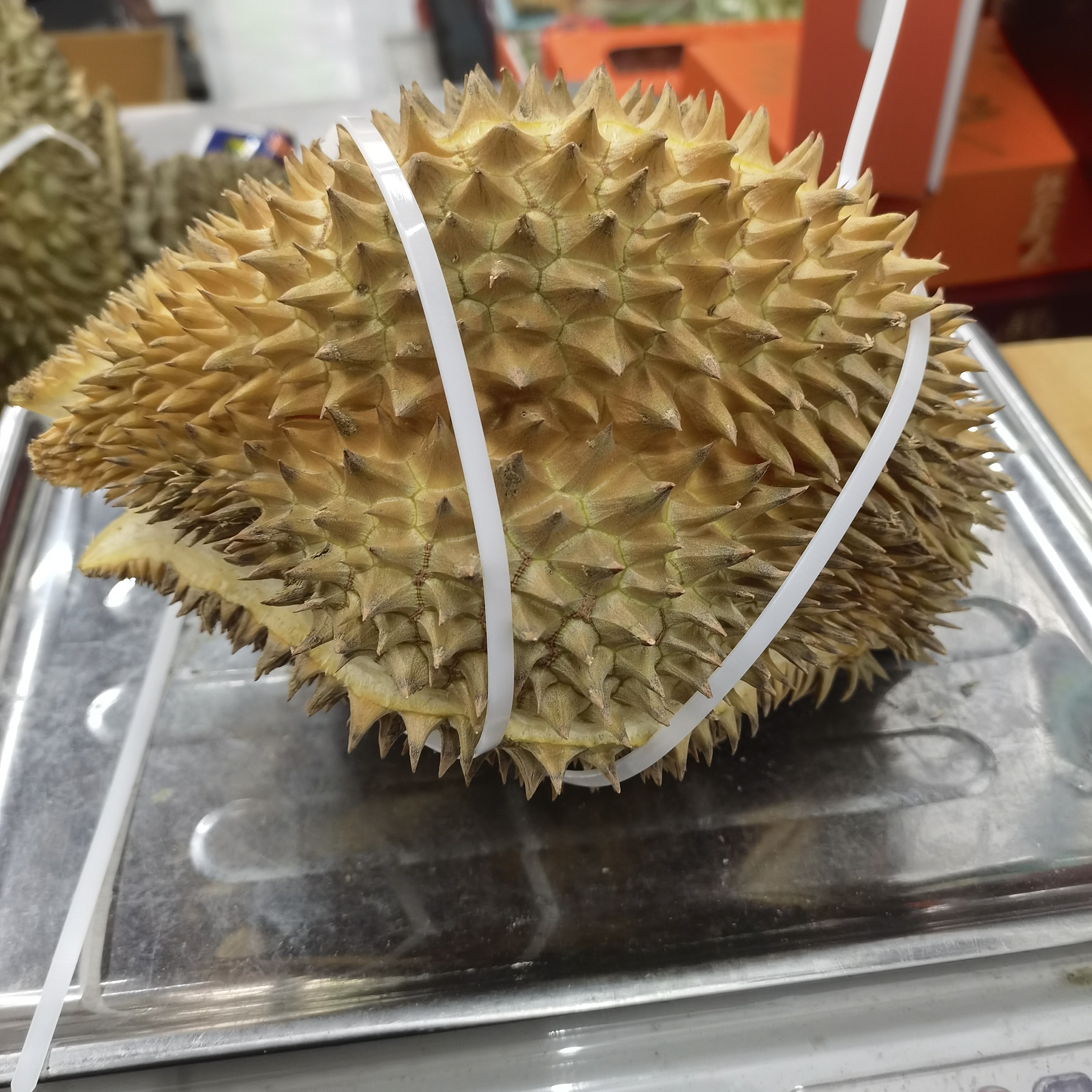 泰国树熟金枕榴莲49.9