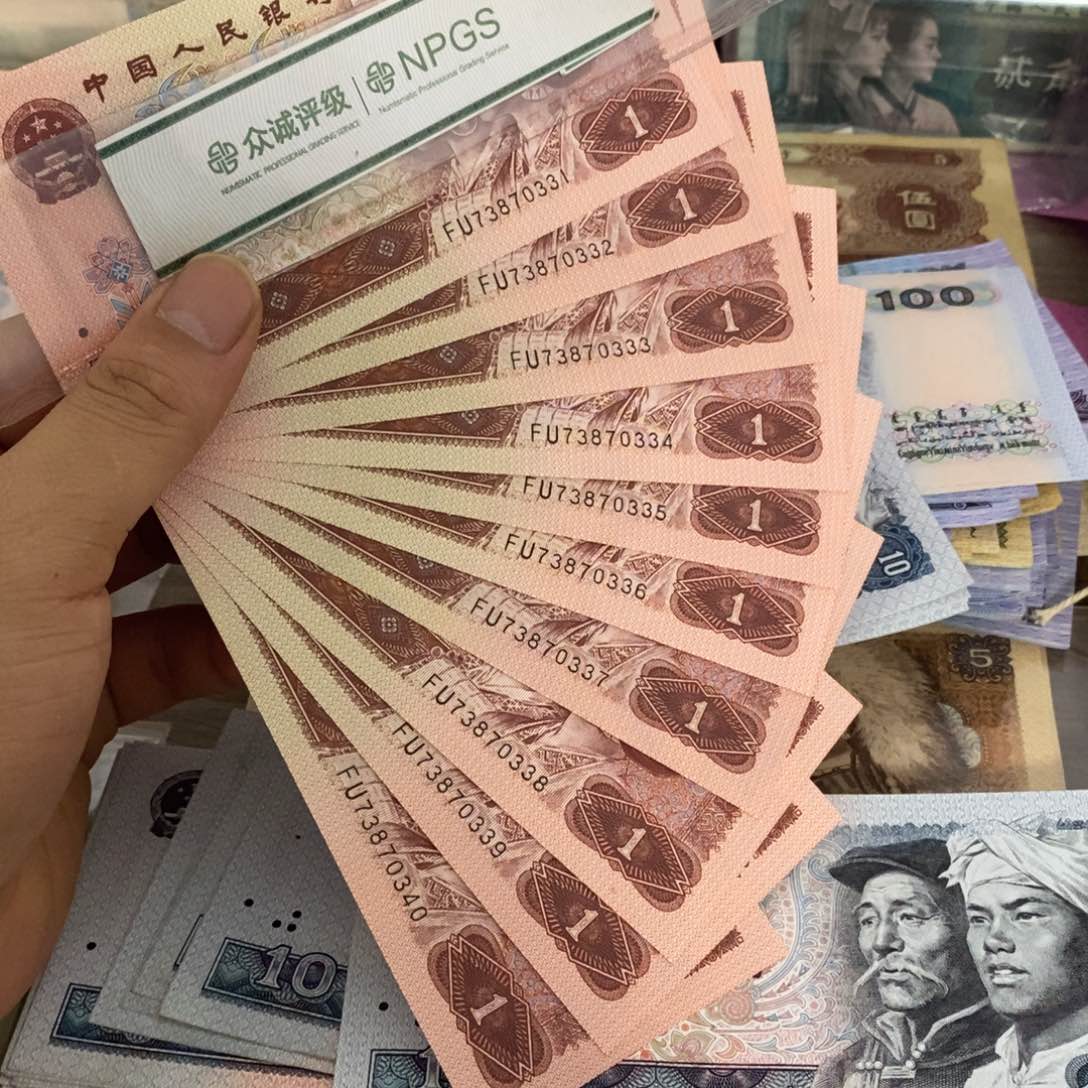 961豹子号标十连号不带4，333