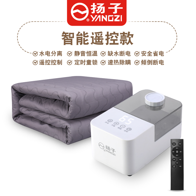【智能遥控款】水暖毯水循环水暖褥子暖炕加厚单双人静音恒温取暖