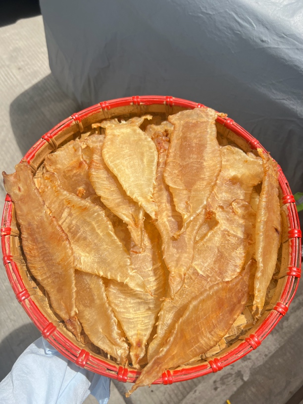 花胶鱼胶日常高品质鱼胶