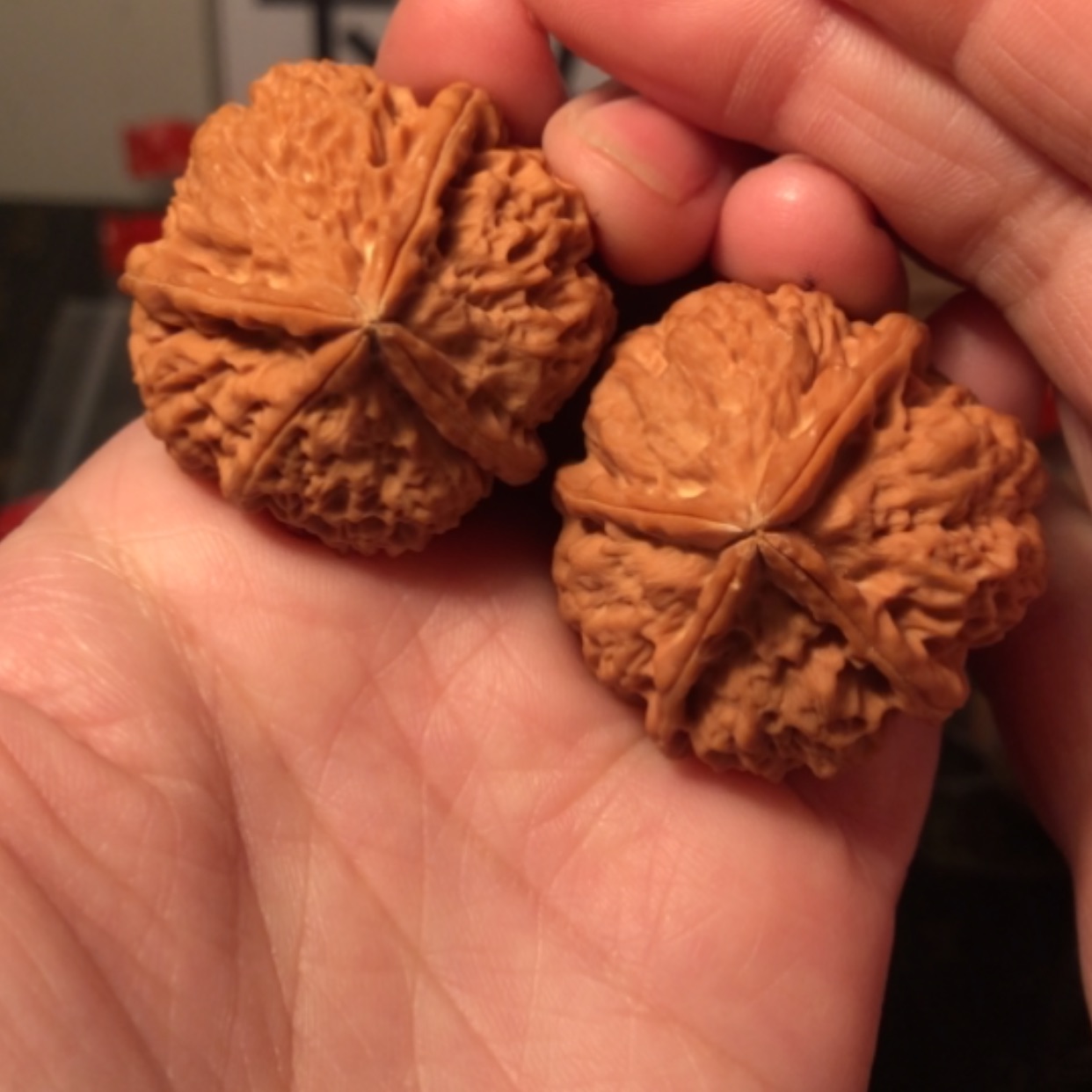 【闪购商品】文玩核桃把件野生四棱