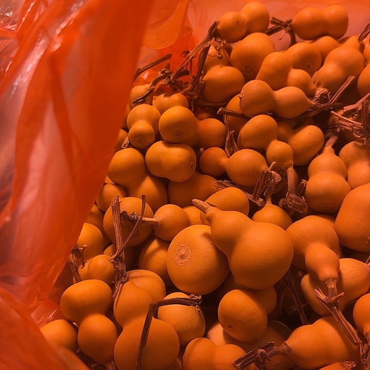 李***沐葫芦处理葫芦葫芦葫芦葫芦