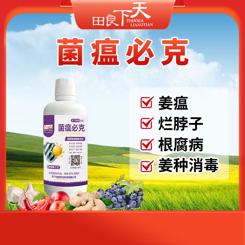 菌瘟必克 叶面肥 1000ml/瓶  买2瓶送1瓶200ml 防控姜瘟 根腐病