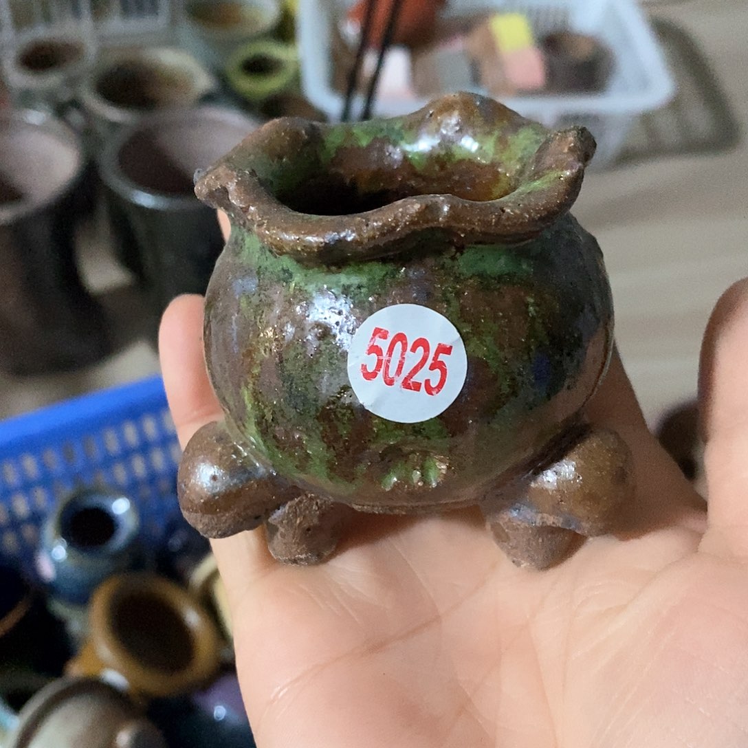 红陶拍5送一个小