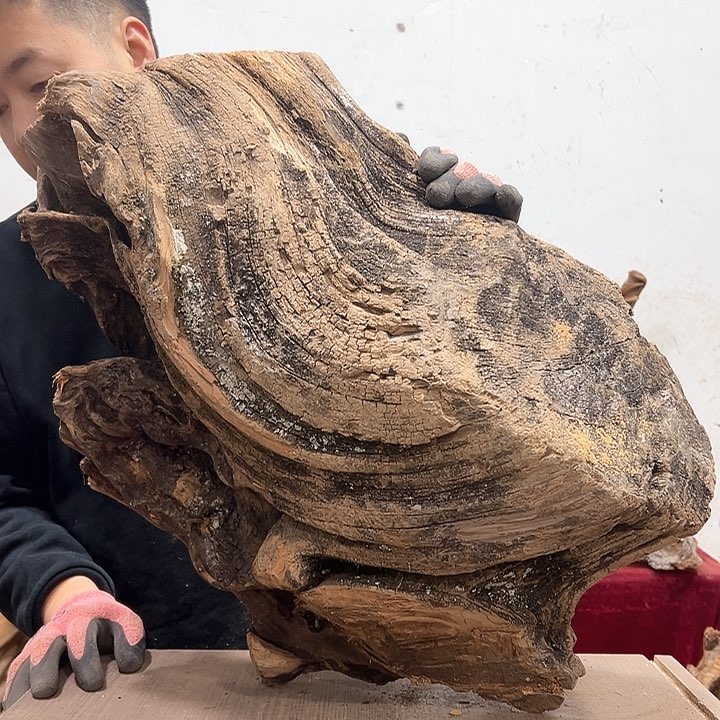 柏木张**雕我们的生活也是如此吧