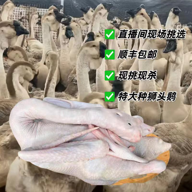 7到8斤规格狮子头肉预包装生鲜食品 农村散养味道鲜美