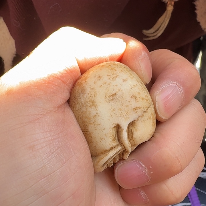 b***o合金类姐姐哈哈哈哈哈哈哈哈