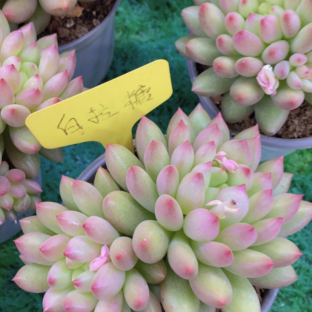 清货专场，满5宋1了