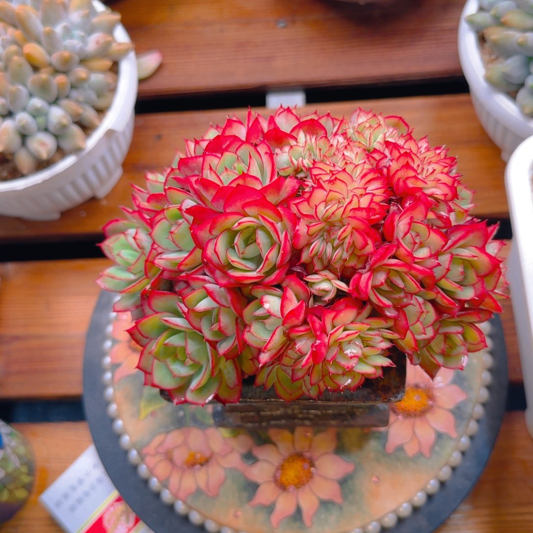 发货11111111111111111111111