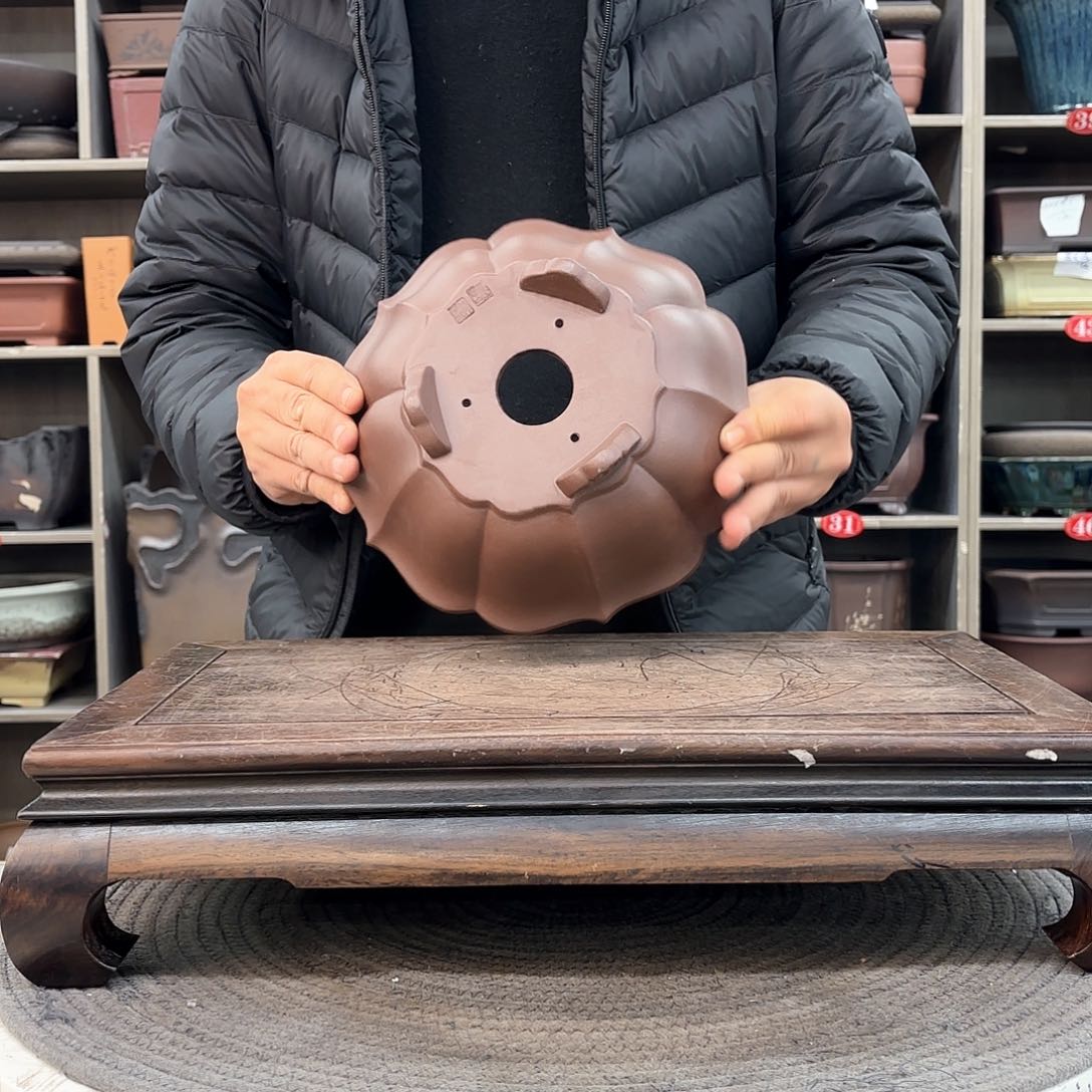 紫砂花盆紫砂的颜色很好看