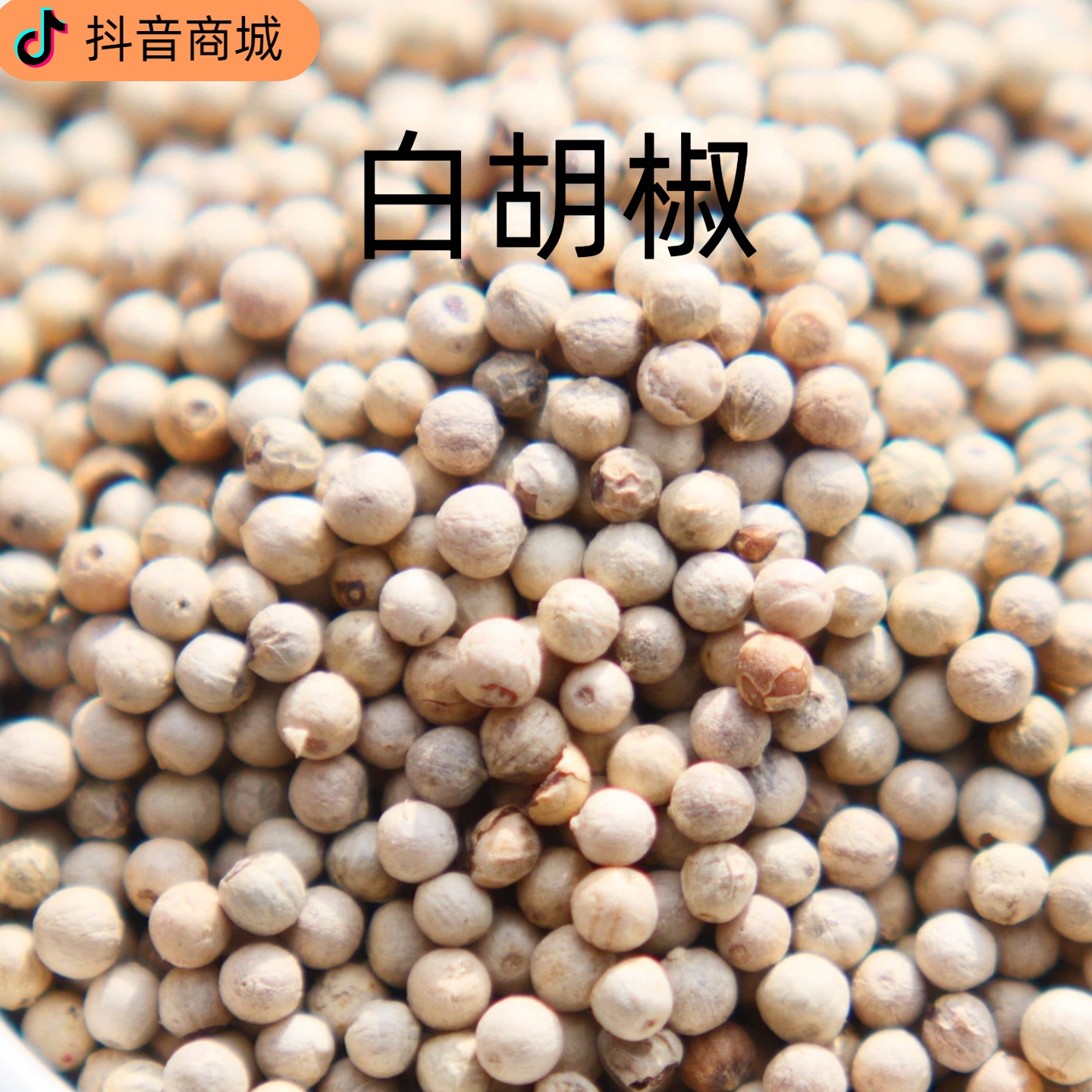 白胡椒【无硫熏手工挑选 煲汤炖肉去腥提鲜香料】大料白胡椒