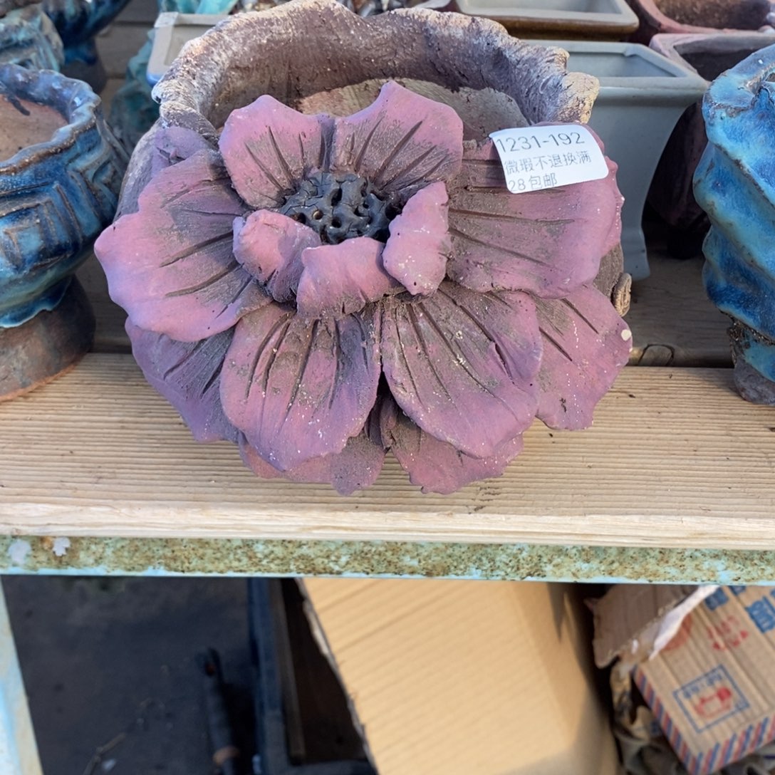 192号多肉盆口径11