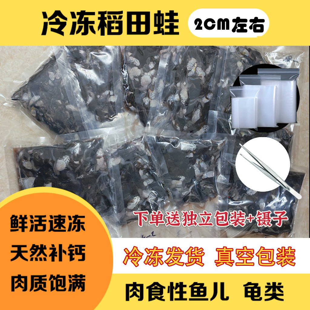 冰冻稻田蛙苗真空包装半斤装雷龙鱼龙鱼肉食类高钙高蛋白饲料口粮