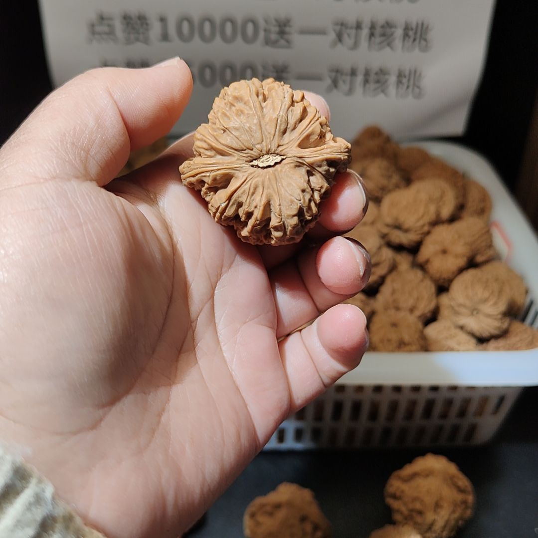 往***风南疆石狮子头一物一图
