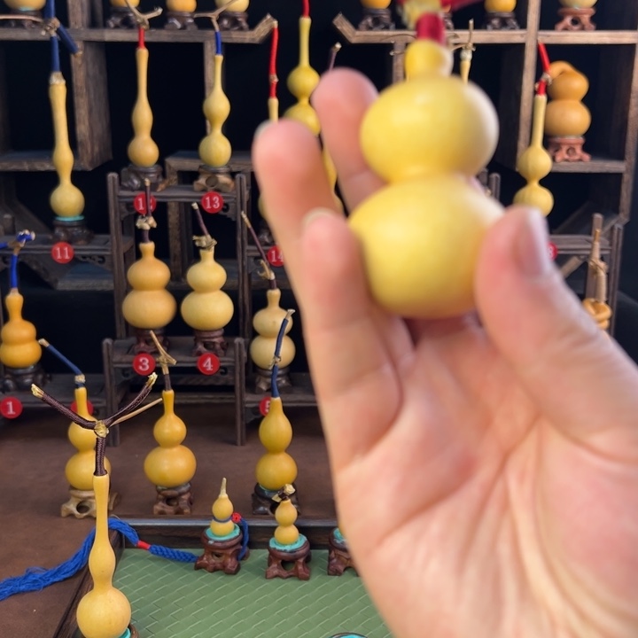 c***l葫芦等经济树人和农