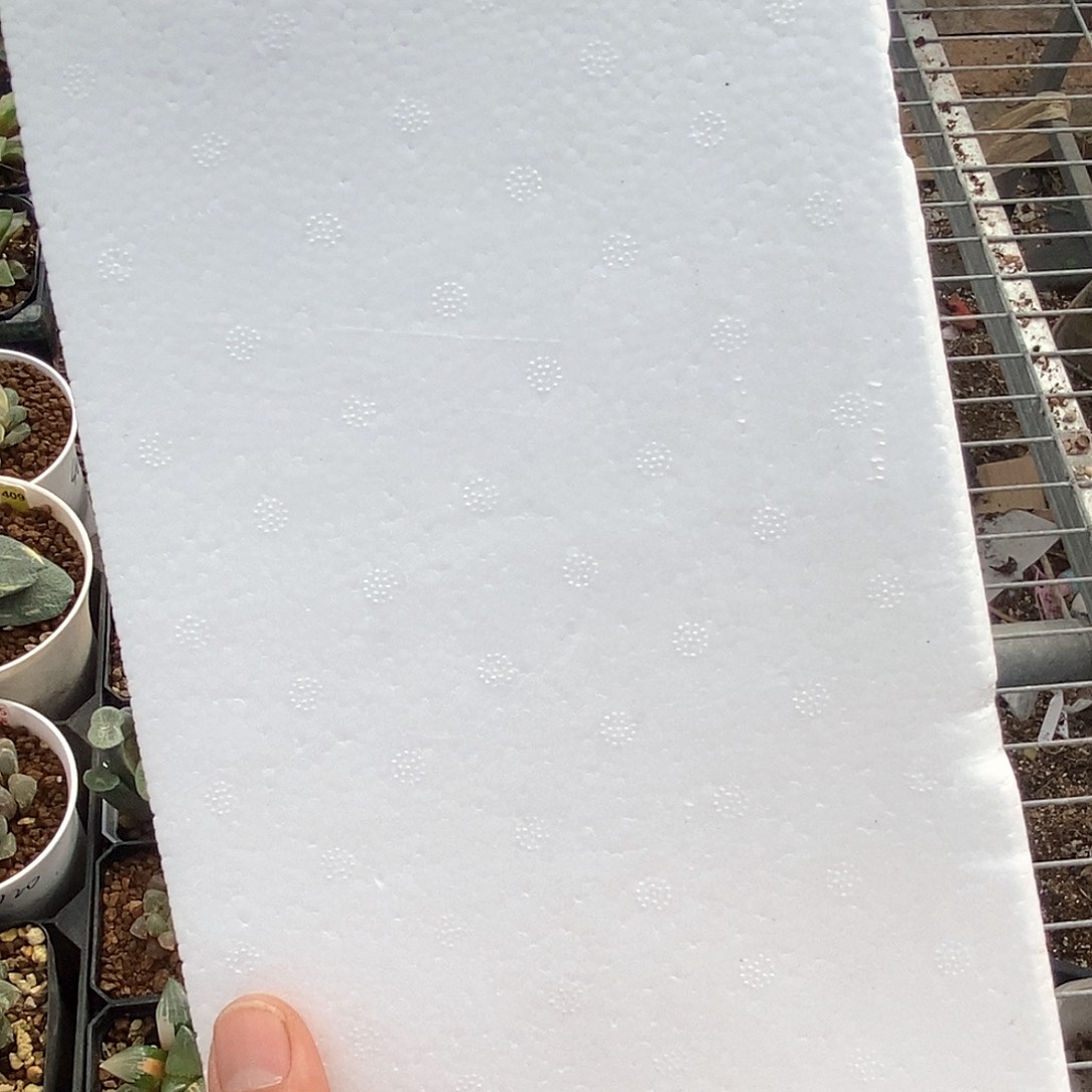 红陶保温箱直播间拍一个保温