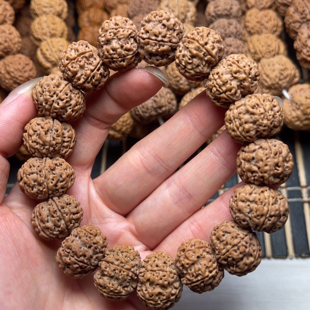 菩提4号金刚菩提原生态六瓣19.5/20