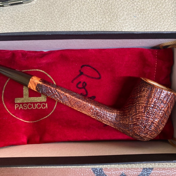 意大利 帕斯库奇 全新烟斗