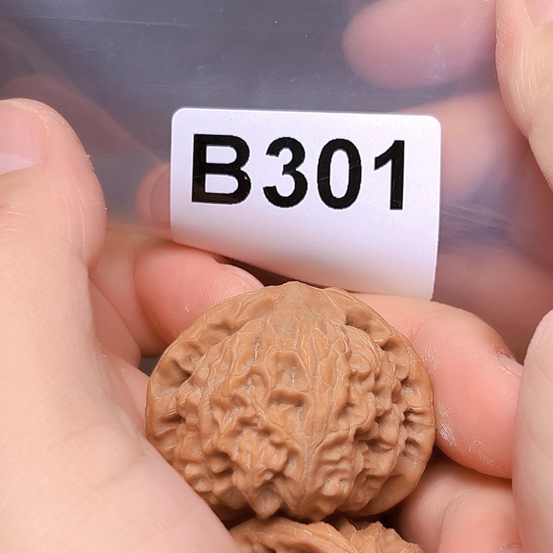 屿***_吊坠文玩核桃送宫灯