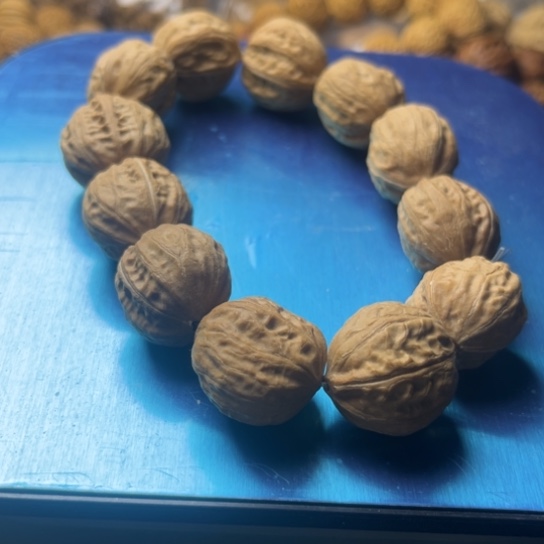 无***尔银S9251234567890