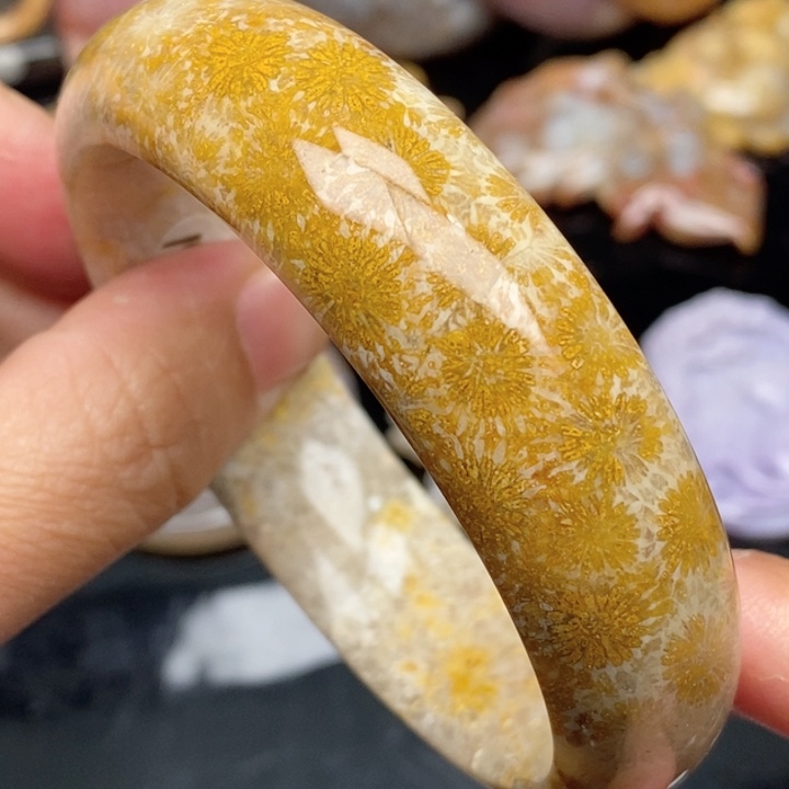 硅化珊瑚（珊瑚玉）手镯未镶嵌60.6
